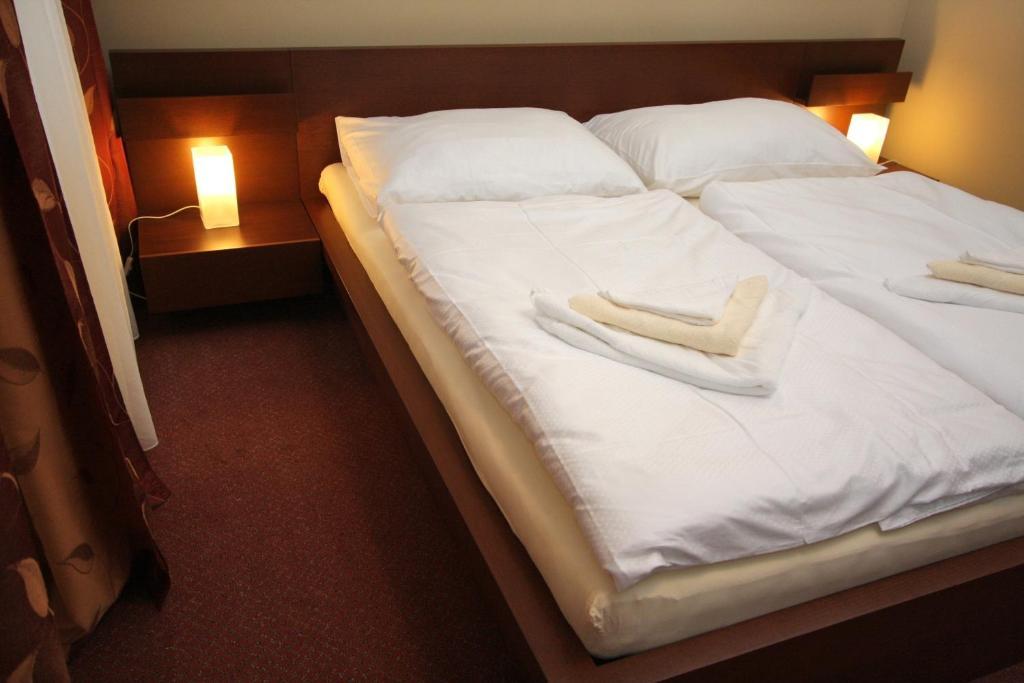 Penzion Haydnuv Dum Dolni Lukavice Room photo