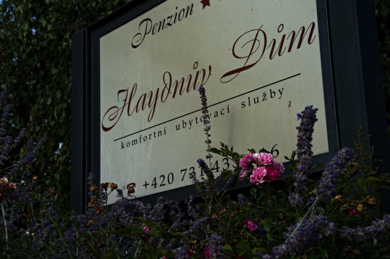 Penzion Haydnuv Dum Dolni Lukavice Exterior photo